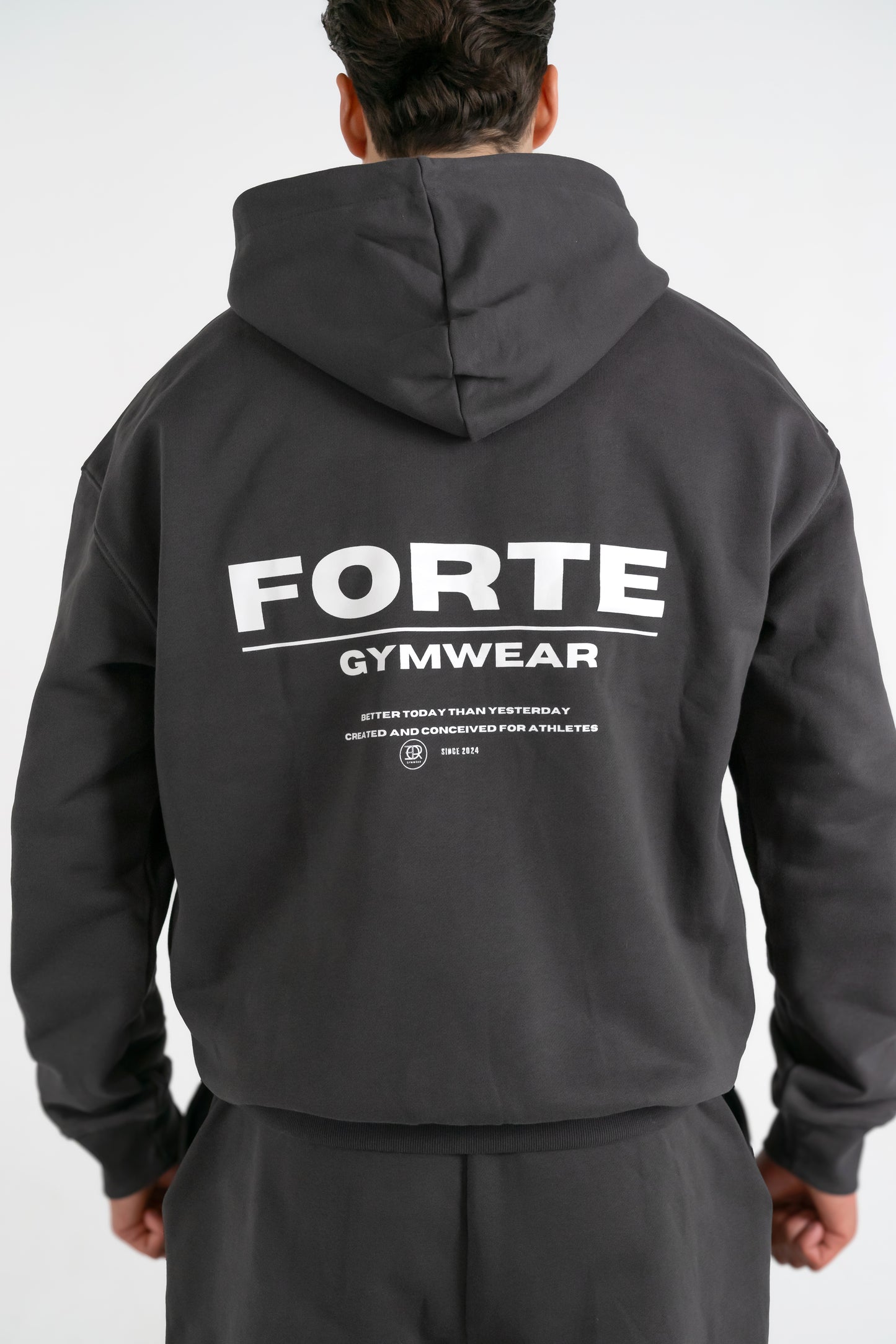 Forte Gymwear Premium Zip Hoodie Heren Grijs - Achterkant